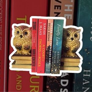 Vintage Ceramic Owl Bookends